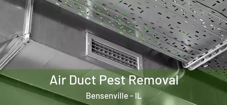Air Duct Pest Removal Bensenville - IL