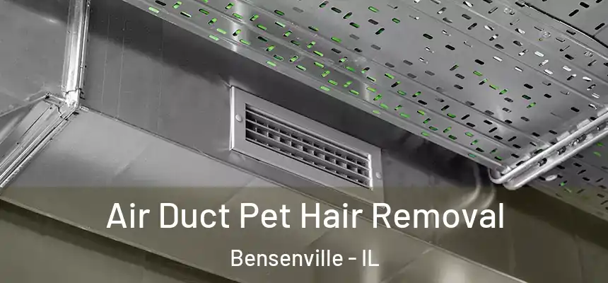 Air Duct Pet Hair Removal Bensenville - IL