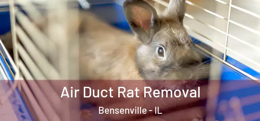  Air Duct Rat Removal Bensenville - IL