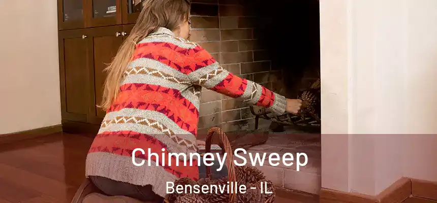 Chimney Sweep Bensenville - IL