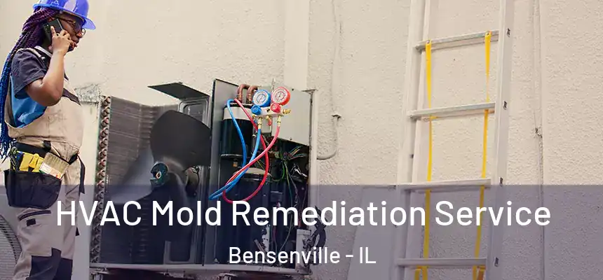 HVAC Mold Remediation Service Bensenville - IL