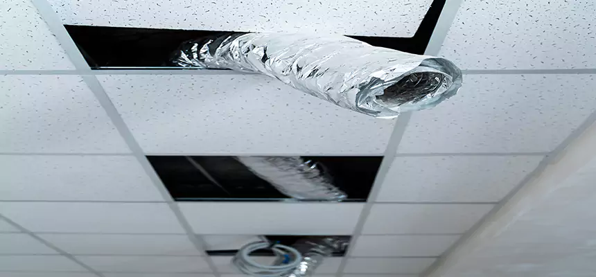 Our Air Duct Pet Hair Removal Services in Bensenville, IL