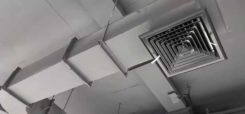 Restorative Allergy Relief Vent Cleaning – Coil, Blower & Housing Detail in Bensenville