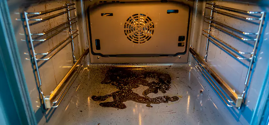 Our Dryer Vent Mold Cleaning Services in Bensenville, IL