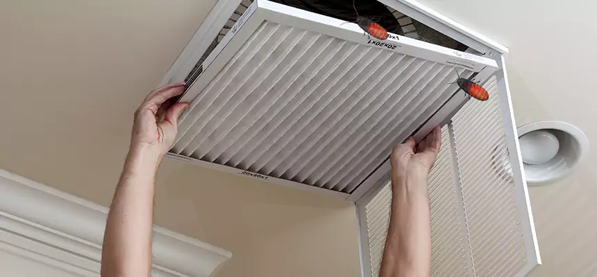 Our Insect Removal from Air Ducts Services in Bensenville, IL