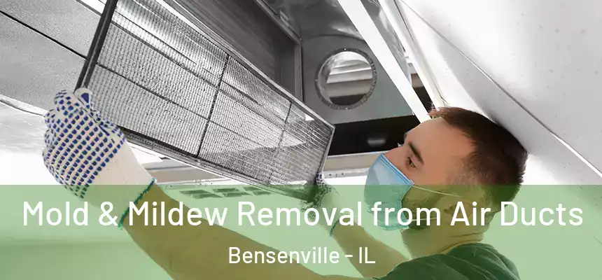 Mold & Mildew Removal from Air Ducts Bensenville - IL