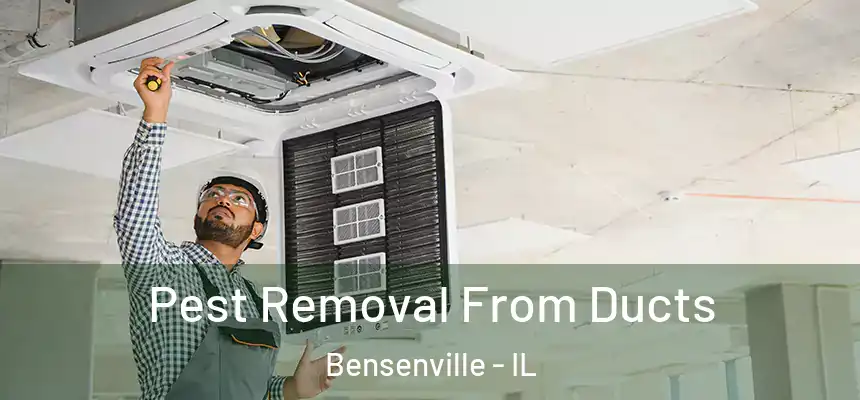Pest Removal From Ducts Bensenville - IL