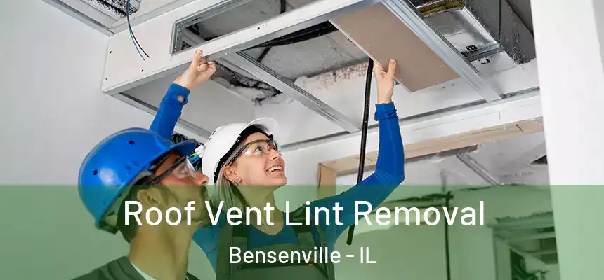  Roof Vent Lint Removal Bensenville - IL