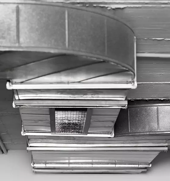 Professional Air Duct Pest Removal in Bensenville, IL