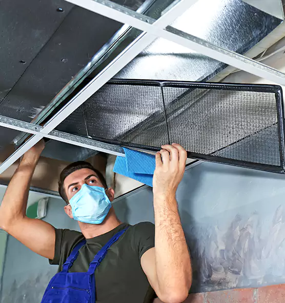 Professional Air Duct Pollen Cleaning in Bensenville, IL