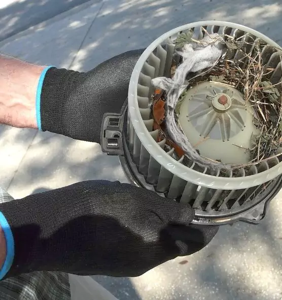 About Air Duct Rat Removal in Bensenville, IL