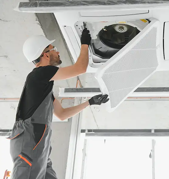 About Air Duct Rodent Removal in Bensenville, IL