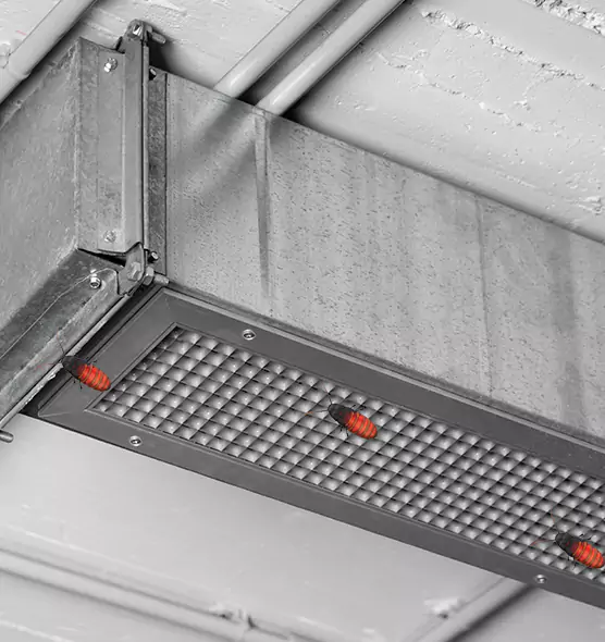 Affordable Insect Removal from Air Ducts in Bensenville, IL