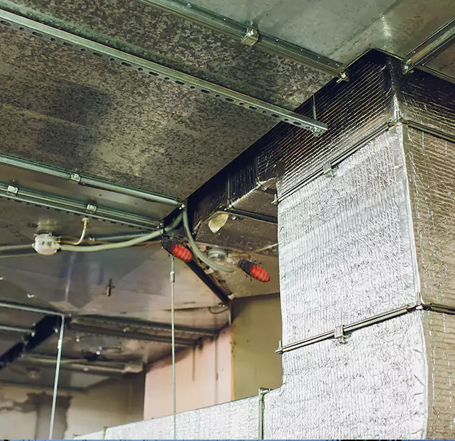 Why Homeowners & Businesses Trust Us in Bensenville, IL?