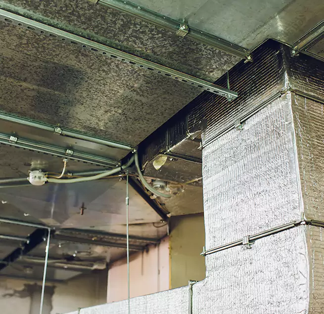 Why Homeowners & Businesses Trust Us in Bensenville, IL?